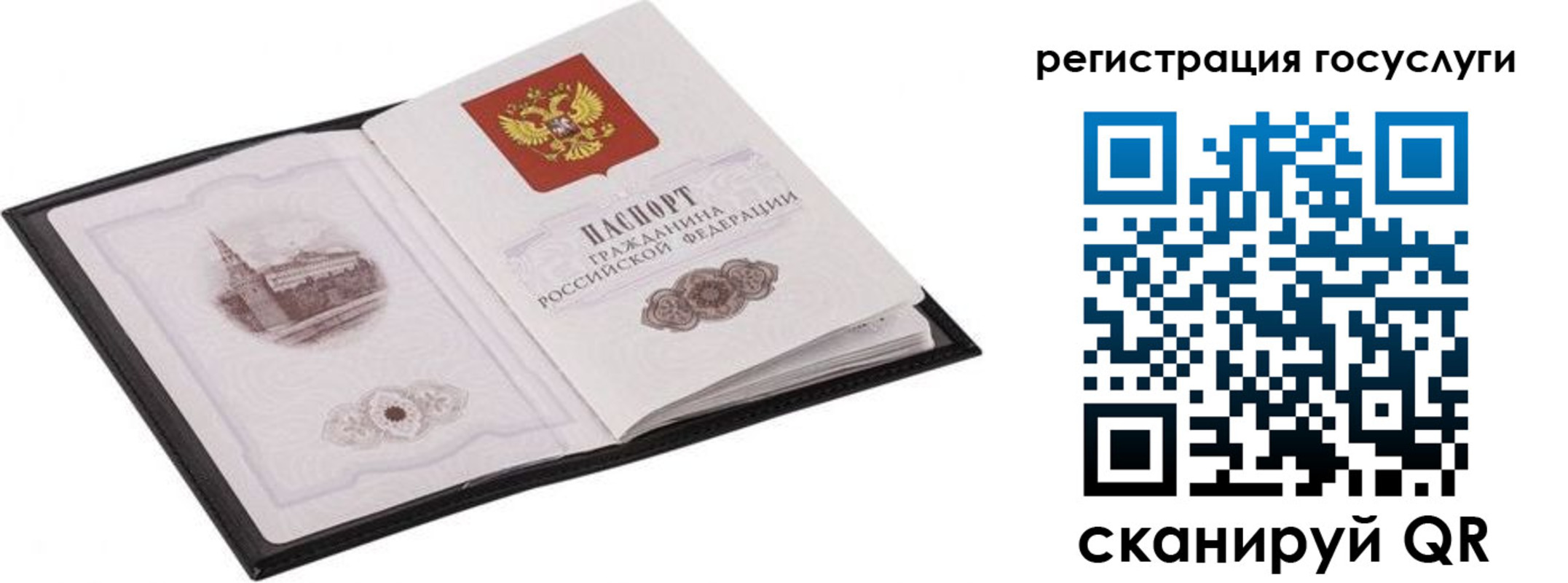 временная регистрация поиск в Ростове-на-Дону